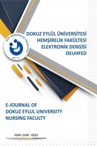 E-Journal of Dokuz Eylul University Nursing Faculty
