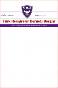 Journal of Turkish Nurses Association